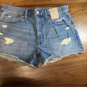 Madewell | Relaxed Denim Shorts in Renfield Wash: Destructed Edition | 30
